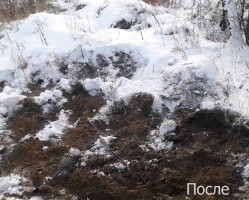 Ликвидированы места несанкционированного складирования ТКО.