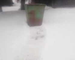 Жителям деревень в Сычевском районе стало доступно накопление ТКО в специально созданных местах.