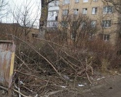 Ветки на контейнерных площадках.