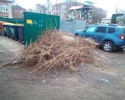 Ветки на контейнерных площадках.