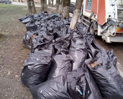 СУББОТНИКИ В ОБЛАСТНОМ ЦЕНТРЕ!