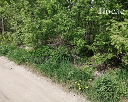 В городе Смоленске по улице 2-й Краснофлотской переулок ликвидирована свалка