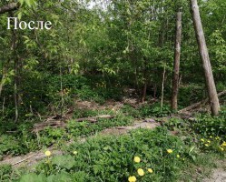 В городе Смоленске по улице 2-й Краснофлотской переулок ликвидирована свалка