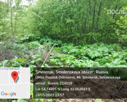 Ликвидирована свалка в Промышленном районе города Смоленска