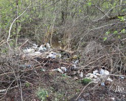 Региональным оператором ликвидированы две свалки в городе Смоленске
