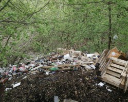 Началась работа по ликвидации свалки в центре Смоленска