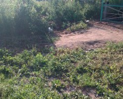 Завершена работа по ликвидации свалки в городе Гагарин