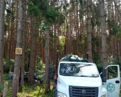Экоактивистами был организован субботник в сосновом бору микрорайона Колодня