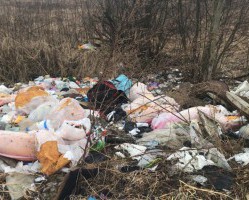 Региональным оператором убрана еще одна свалка