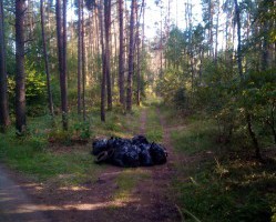 Региональный оператор поддерживает экологические инициативы смолян