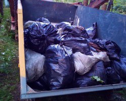 Волонтерский сезон по уборке территорий продолжается