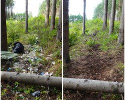 Волонтерский сезон по уборке территорий продолжается