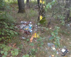 Завершена ликвидация места несанкционированного складирования ТКО в Монастырщинском районе