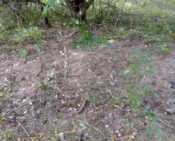 Завершена ликвидация места несанкционированного складирования ТКО в Монастырщинском районе