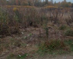 Завершена ликвидация свалки