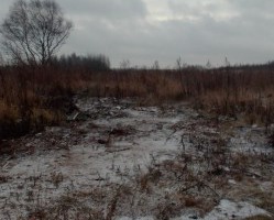 В Монастырщинском районе стало меньше еще на одну свалку