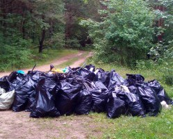 Региональный оператор по обращению с ТКО поддерживает все инициативы, направленные на улучшение экологической обстановки.
