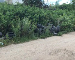 РЕГИОНАЛЬНЫМ ОПЕРАТОРОМ ЛИКВИДИРОВАНА СВАЛКА В ПРОМЫШЛЕННОМ РАЙОНЕ Г. СМОЛЕНСКА.
