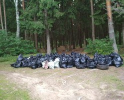 Региональный оператор по обращению с ТКО всегда поддерживает все инициативы, направленные на улучшение экологической обстановки.