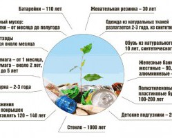 Как долго разлагается мусор?