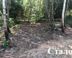В СМОЛЕНСКОЙ ОБЛАСТИ ПРОДОЛЖАЕТСЯ БОРЬБА СО СВАЛКАМИ!