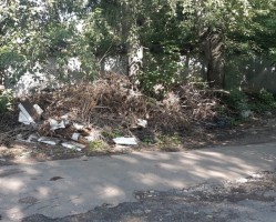 Вывоз растительных отходов: чья прерогатива?