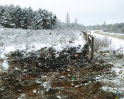 Место несанкционированного размещения твердых коммунальных отходов